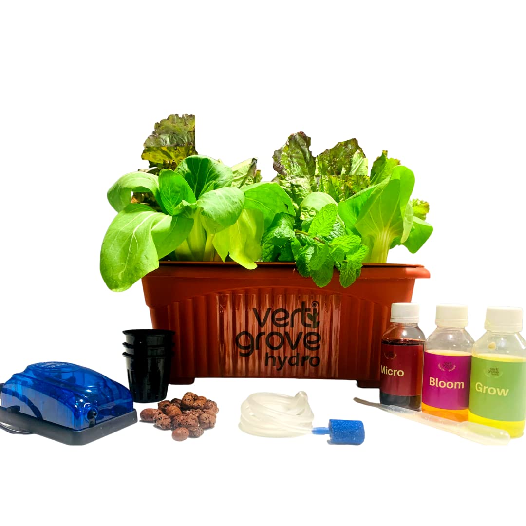 Starter-Kit-1-Website