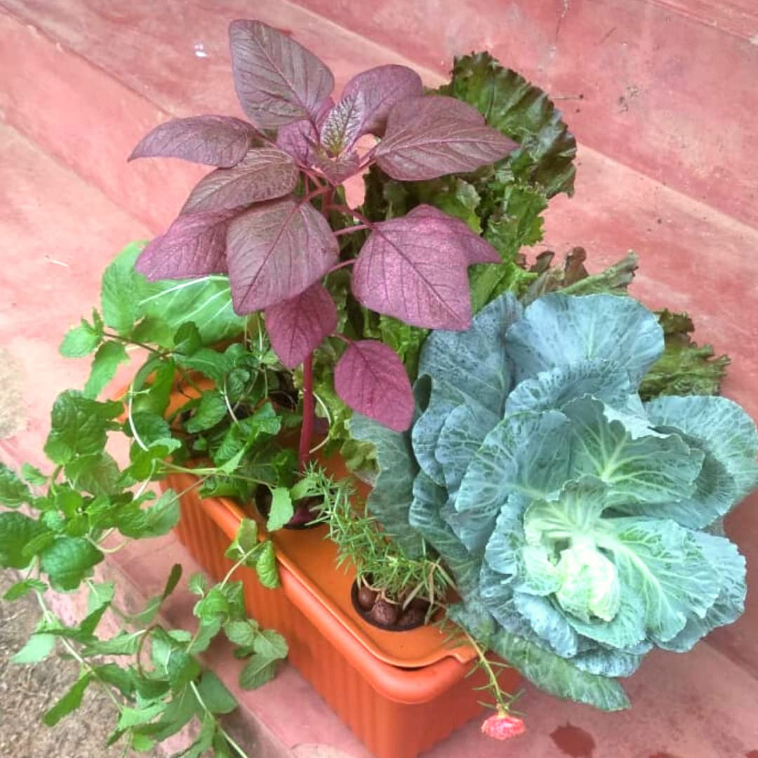 Starter-Kit-4-Website