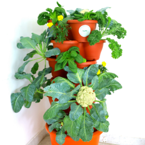 Vertical Hydroponic System